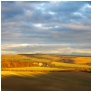 slides/Houghton Hill.jpg sunset, south downs national park, west susses, trees, autumn,panoramic,clouds, gloden colour Houghton Hill